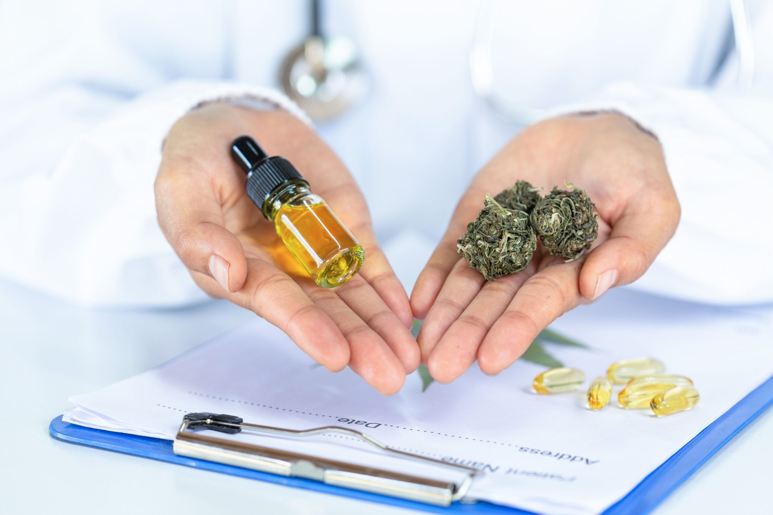 A bottle of CBD oil and cannabis in the hands of a doctor or res A bottle of CBD oil and cannabis in the hands of a doctor or res