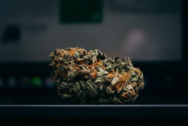 medical marijuana for chronic pain