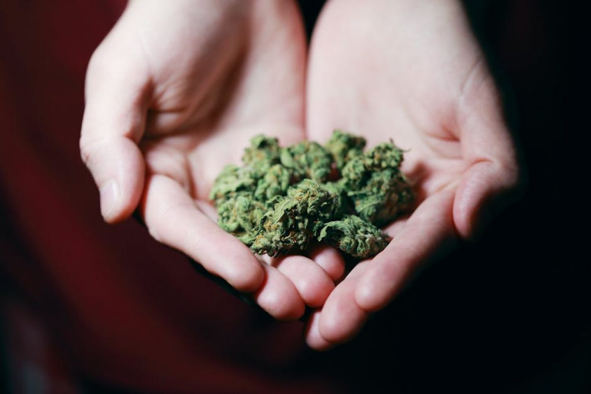 how can i get medical marijuanas card
