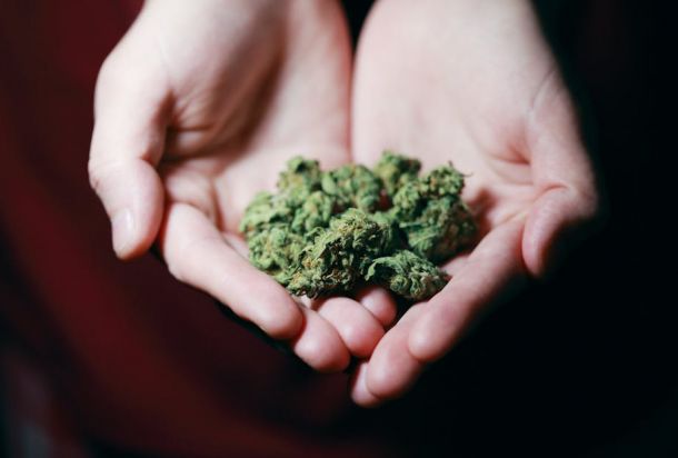 how can i get medical marijuanas card