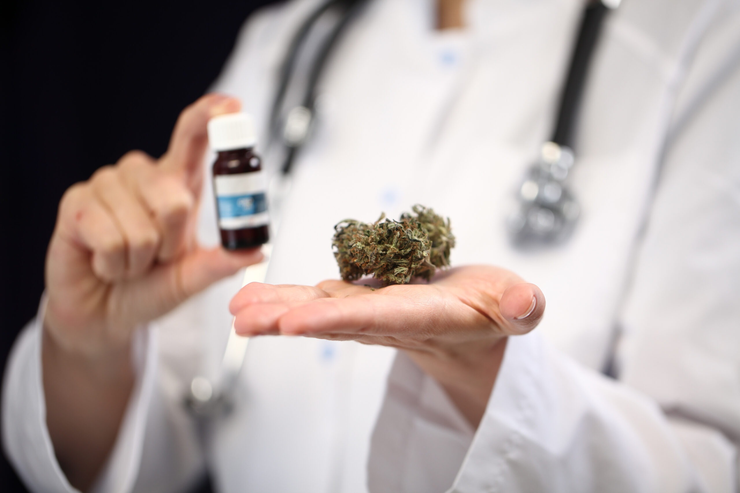 medical marijuana in the hand of a doctor. cannabis alternative